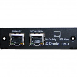 DM-1
