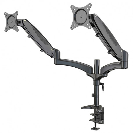 23875 Dual monitor mount