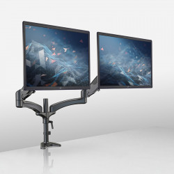 23875 Dual monitor mount 2