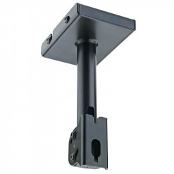 24496 Speaker ceiling mount 2