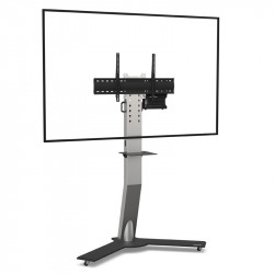 EKINOX Single Screen 75" -...