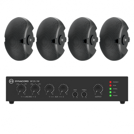 BSYS-EVID-4.2TB