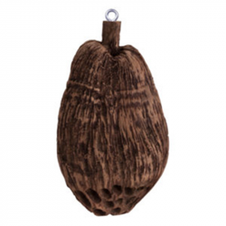 COCONUTZ 2