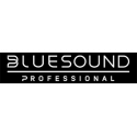 Bluesound Professional